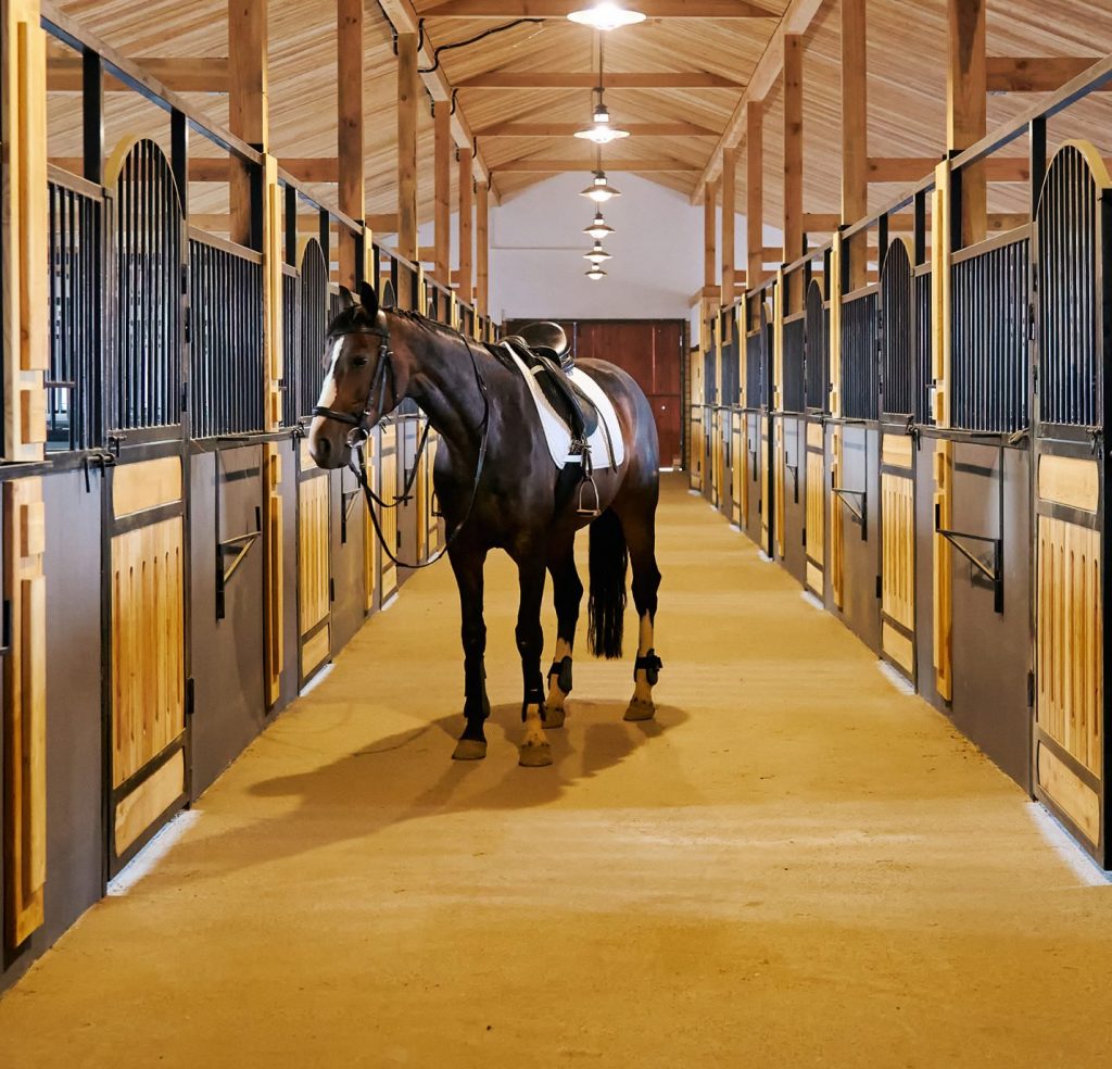 Un cheval dans un écurie