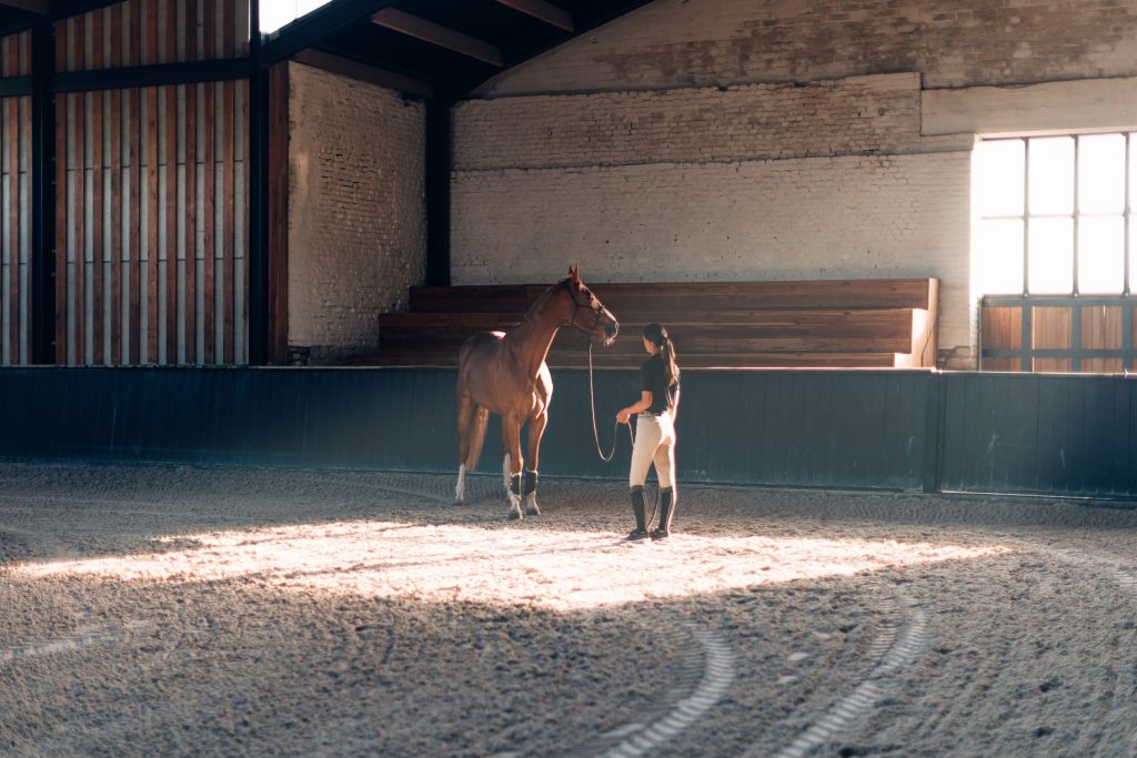 Cavalière dans un paddock