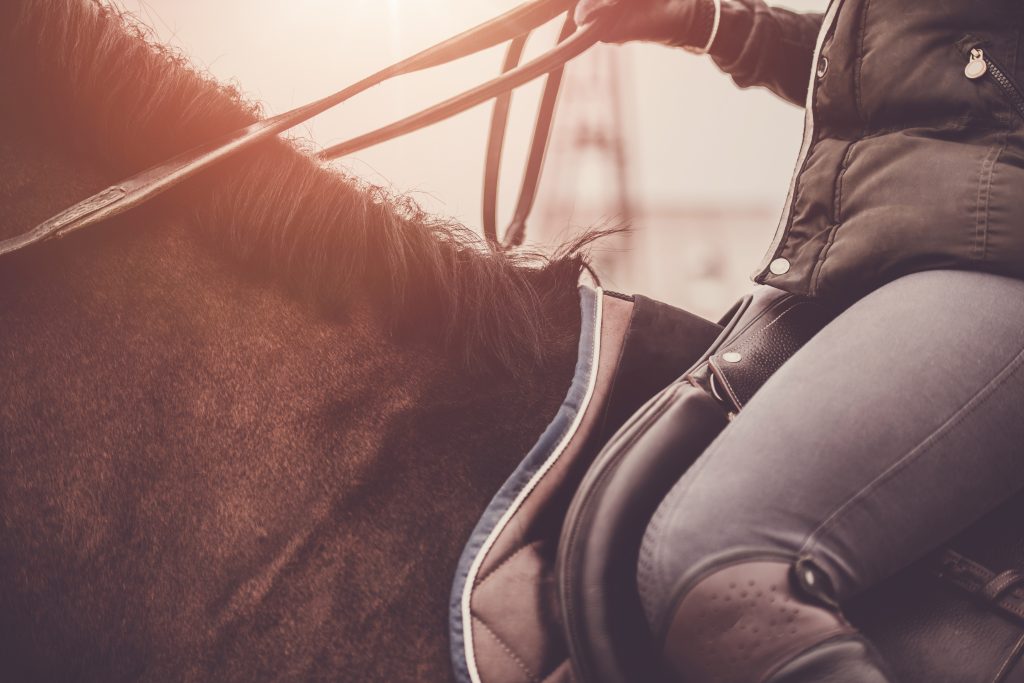 Cavalière sur un cheval