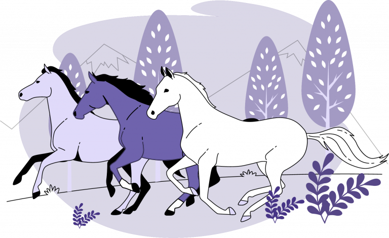 Chevaux qui court